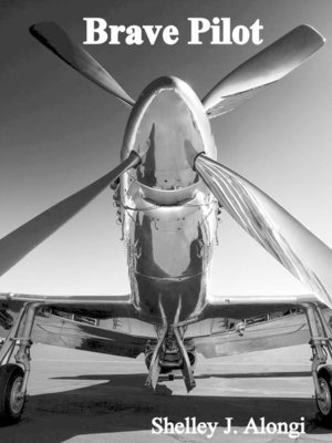 cover image of Brave Pilot